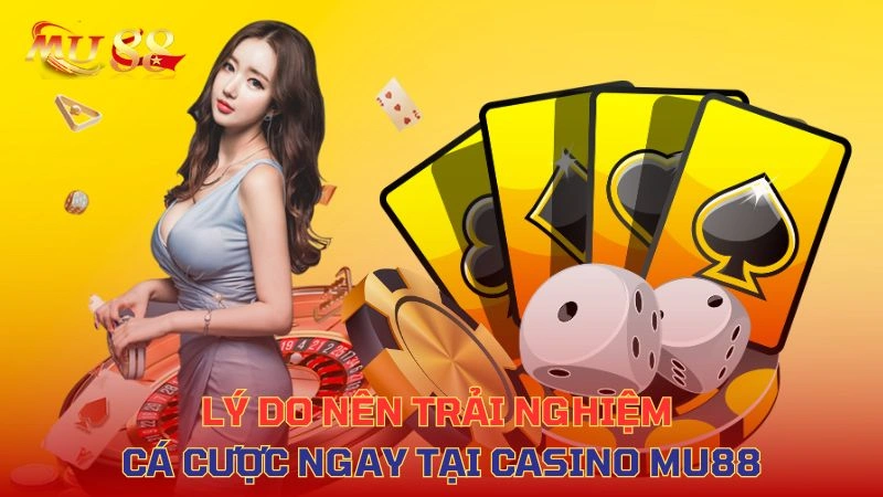Lý do nên chọn casino VVVWIN – Live thực tế, đa dạng cược, bảo mật cao